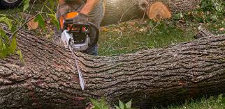 Best Soil Testing and Treatment  in Galena, IL