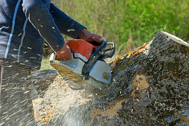 Best Lawn Pest Prevention  in Galena, IL